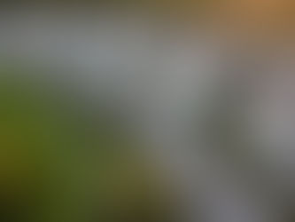 Inteligência Artificial otimiza negociação de imóveis com precisão e resultados reais