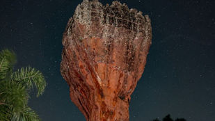 Caminhada noturna no Parque Estadual de Vila Velha com visitantes observando formações rochosas e o céu estrelado