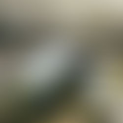 Sete bares e restaurantes imperdíveis em Curitiba para aproveitar gastronomia variada e experiências únicas na cidade.