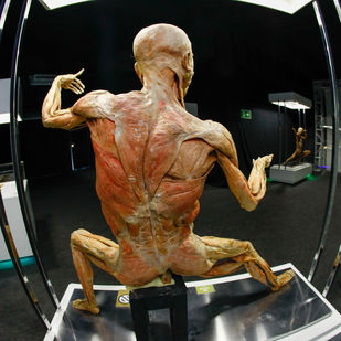 mostra científica internacional chega à capital paranaense