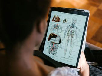 Curso gratuito de Anatomia Humana online