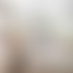 Sala moderna com espaço dedicado para pets: nicho com cama de cachorro embutida, prateleiras para gatos e materiais resistentes a arranhões