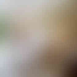 Casa Marambaia celebra o fim de ano com experiências exclusivas em meio à natureza e gastronomia ref