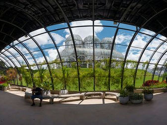 Turistas internacionais visitando o Paraná