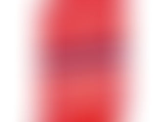 Sandra Acosta segura seu novo livro de crônicas durante lançamento na Flip 2025