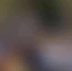 Degustação harmonizada de cervejas artesanais com pratos gastronômicos no Empório Marambaia em Petró