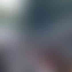 Curitiba recebe sétima edição do Festival da Cultura Cervejeira Artesanal