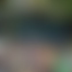 Show de blues ao ar livre na cidade de Antonina durante festival musical