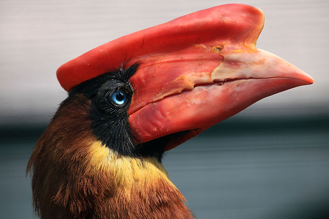 Im Weltvogelpark Walsrode