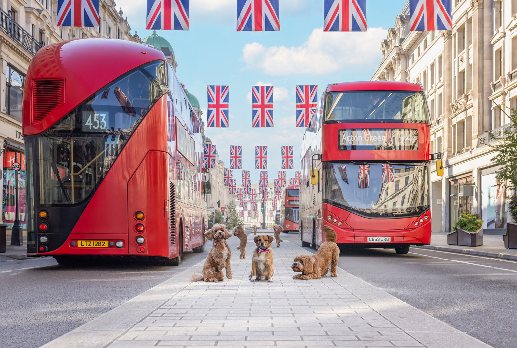 The Victory Parade - The Iconic Dogs of London