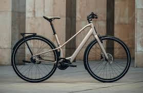 Orbea Carpe 20 Nickel