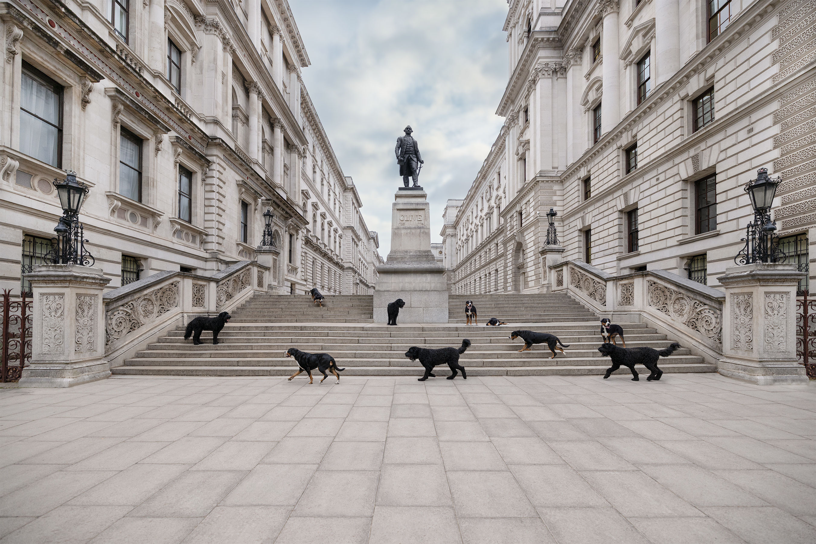 The Soft Guard - The Iconic Dogs of London