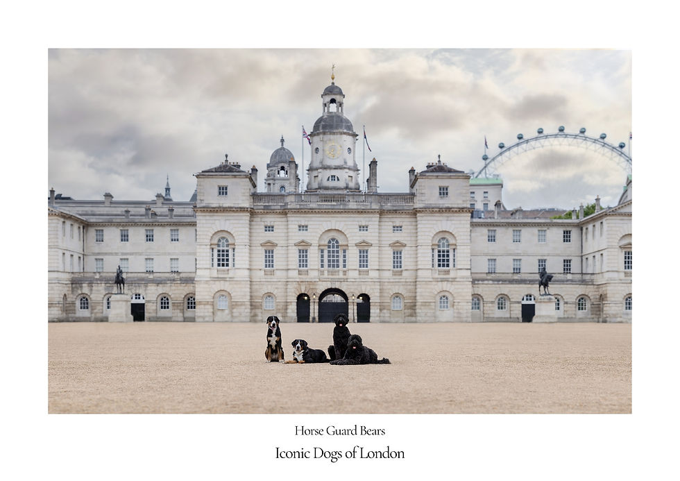 Thumbnail: Horse Guard Bears - Whitehall, London