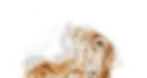 espuma de café