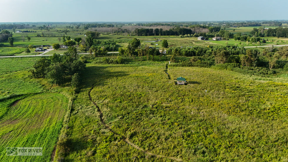 PaulHart Lscape-6