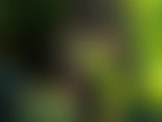 Vicampo Group Exit 2021 was worth 125 mn €