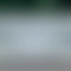 Balancing Freedom and Responsibility: The Story Behind FINN’s Vision for Transforming Car Ownership | Startuprad.io