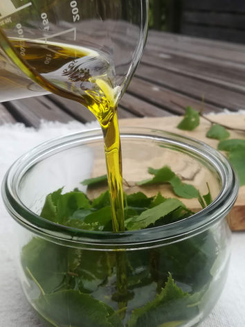 IMG_20210515_165557 (1).jpg