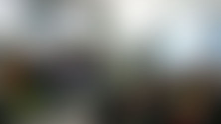 Papel do Facebook e do Google no combate às fake news é debatido em Seminário "Fake News e Demo