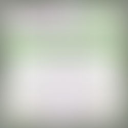 Projeto Araruama Verde. Doações de mudas para plantio nas calçadas às sextas-feiras, 13-17 hs