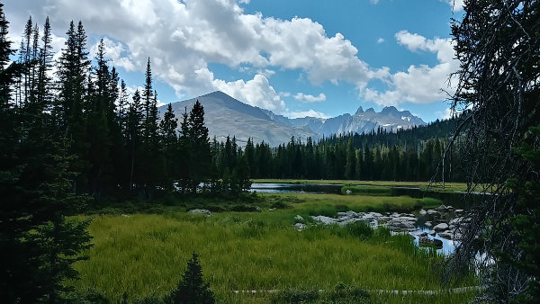 Survival Stories, Nature Reay Outdoors