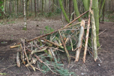 Improper Survival Shelter