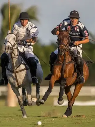 Discover a top-notch equestrian center featuring horseback riding, polo fields, and countryside charm in Cap Cana.