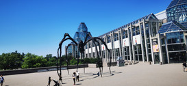 IMG_20220722_115153.jpg