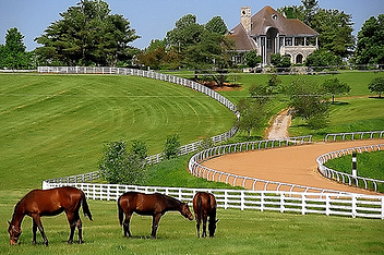 Realtor Equestrian Farms, acreage realtor, farm specialty, Chatham County Realtor, Guilford County Realtor, Randolph County Realtor