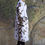 Thumbnail: Oversized Butterfly Coat