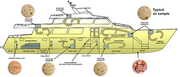 mold-removal-boat-03.jpg