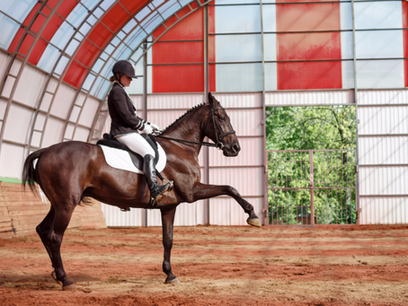 Tack Talk: Choosing and Maintaining the Perfect Gear for Your Horse