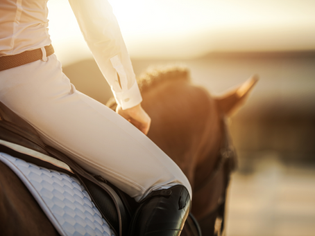 Mastering the Art of Horse Riding: Essential Tips for Beginners