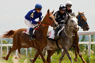 First Choice Equine | Horse Supplements and Vitamin Shop