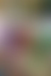 #resenha: linha Soul Brasil, da StoryBrew