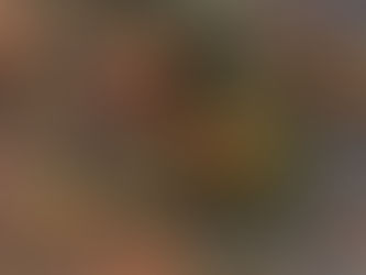 Outono chega ainda em clima de verão