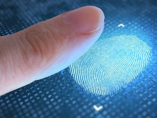 Mais de 20% dos eleitores do Rio não têm biometria. Você é um deles?