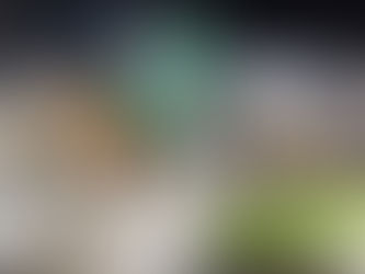 TV Brasil transmite os desfiles da Série Prata do Rio no domingo (15) e na segunda-feira