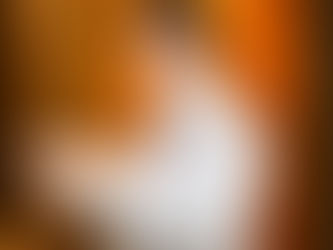 Silvio Santos, o filme, vem aí