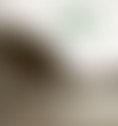 Livro recupera histórias sobre a Ilha da Boa Viagem em Niterói