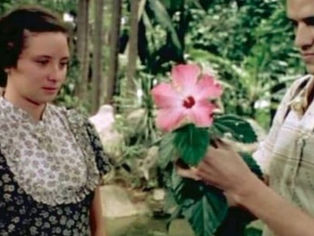 Filme 'A Hora da Estrela' é o mais visto na plataforma Tela Brasil