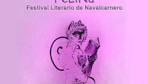 FeLiNa, el evento alternativo a la feria del libro