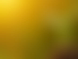 ¿Qué es un asana? La semilla que se esconde en cada postura.