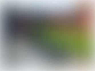 Brick Garden Wall with Composite Panels and Gate in Stone