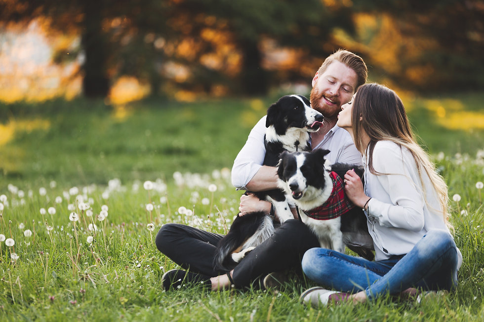 AdobeStock_146380560.jpeg