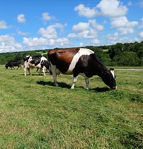 20240617_100729 (1)_edited.jpg