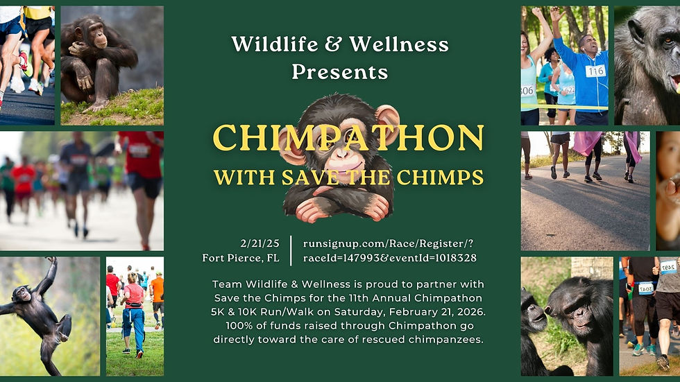 Chimpathon 5K & 10K — Run with Team Wildlife & Wellness