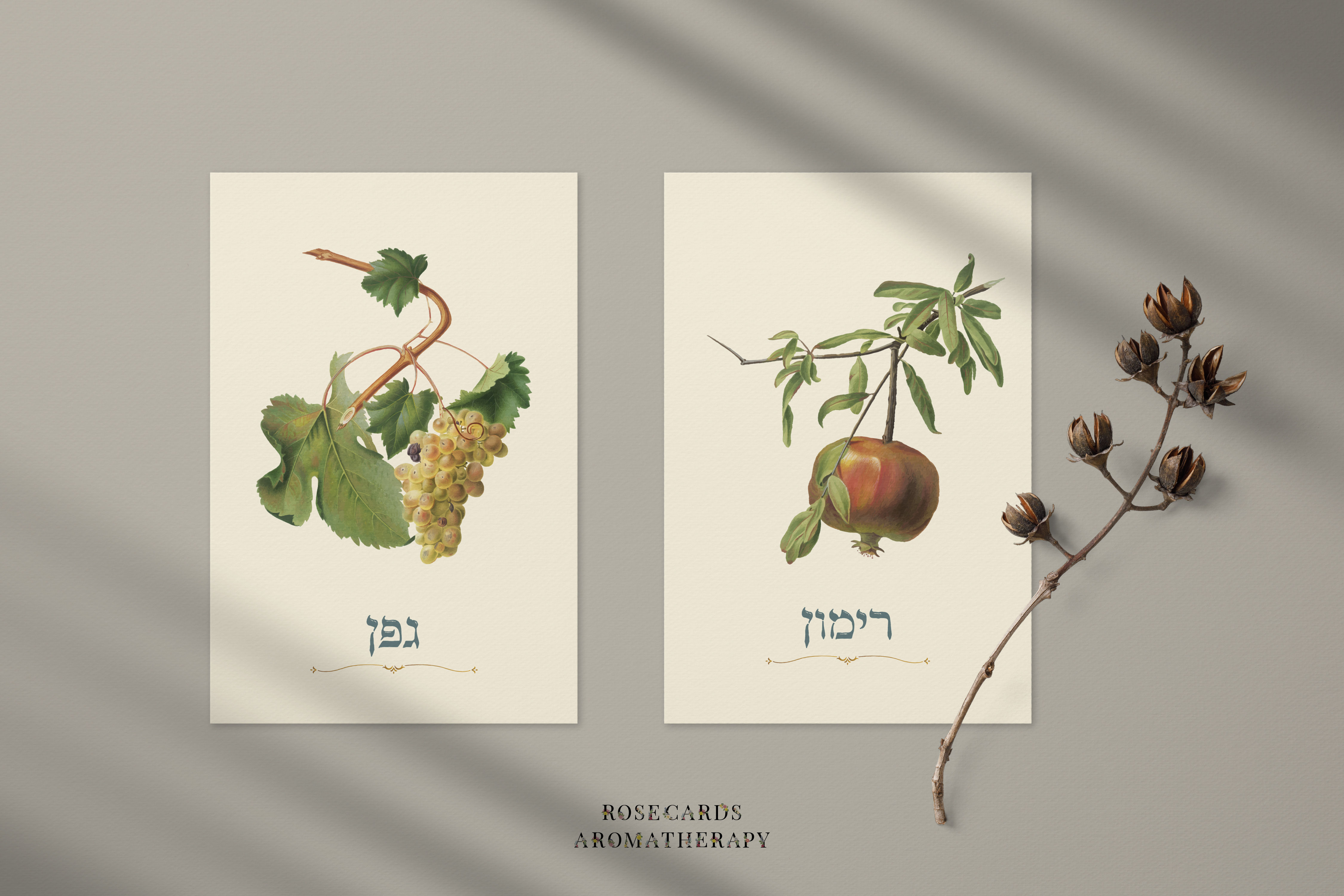 "זוג גלויות מסדרת "הארץ הטובה A5 14.8*21