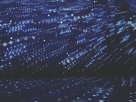 ９月突入です！