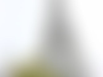 東京　初めての場所